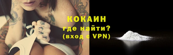 прущий лед Пересвет
