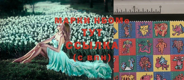 индика Алексин